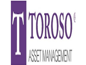 Toroso Asset Management - Financial consultants