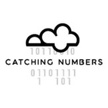 Catching Numbers - Biznesa Grāmatveži