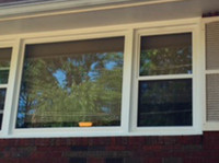Deluxe Replacement Windows (1) - کھڑکیاں،دروازے اور کنزرویٹری