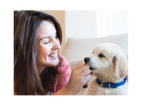 Easyology Pets (2) - Serviços de mascotas