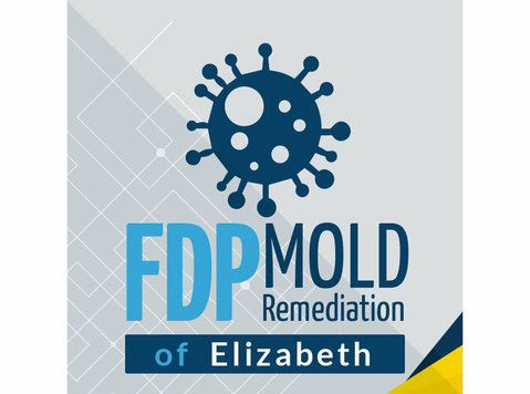 FDP Mold Remediation of Elizabeth - صفائی والے اور صفائی کے لئے خدمات