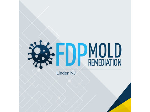 FDP Mold Remediation - Uzkopšanas serviss