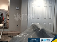 FDP Mold Remediation (1) - Cleaners & Cleaning services