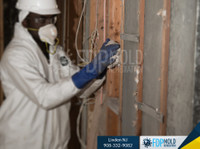 FDP Mold Remediation (2) - Почистване и почистващи услуги