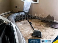FDP Mold Remediation (8) - Limpeza e serviços de limpeza