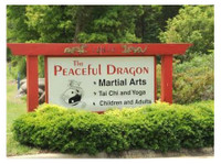 The Peaceful Dragon (2) - Gyms, Personal Trainers & Fitness Classes