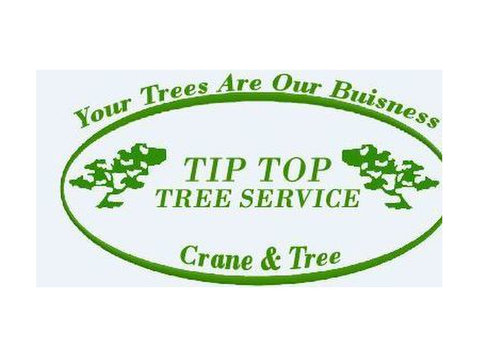 Tip Top Tree Service - Jardineros