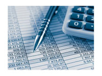 Vector Bookkeeping LLC (3) - Бизнис сметководители