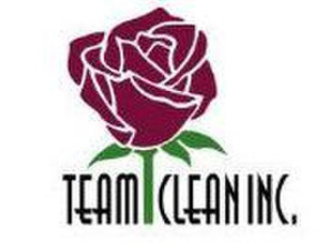 Team Clean - Company formation
