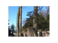 JL Tree Care Inc. (4) - Tuinierders & Hoveniers