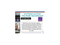 easyvetclinic Veterinarian Murfreesboro TN (3) - Služby pro domácí mazlíčky