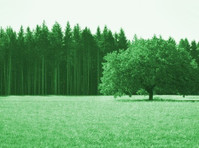 Tree and Land MCT (3) - Puutarhurit ja maisemointi