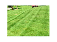 Westlake’s Lawn Care Service Pros (4) - Gardeners & Landscaping