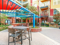Resorts at 925 Main (4) - Pronájem zařízeného bytu