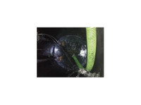 A+ Septic Pumping, Cleaning & Repair (4) - Σηπτικές δεξαμενές