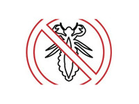 Hero Lice Clinics - South Austin (2) - Coiffeurs