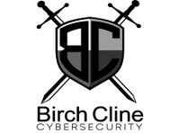 Birch Cline Cybersecurity (2) - Безбедносни служби