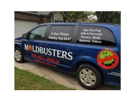 Mold Busters Lewisville (2) - تعمیراتی خدمات