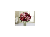 Same Day Flower Delivery Dallas TX  Send Flowers (2) - Gifts & Flowers