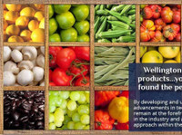 Wellington Foods Usa (1) - Organic food