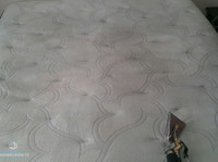 carpet cleaning channelview tx (4) - Siivoojat ja siivouspalvelut