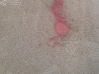 Sunbird Carpet Cleaning The Woodlands (2) - Cleaners & Cleaning services