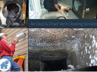 Tulip Carpet Cleaning League City (1) - Siivoojat ja siivouspalvelut
