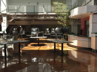 Sat Stained Concrete (5) - Bauservices