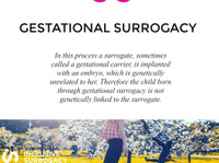 Inclusive Surrogacy (6) - Soins de santé parallèles