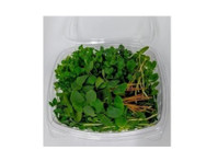 Future of Food Microgreens (1) - Biopotraviny