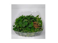 Future of Food Microgreens (2) - Biopotraviny