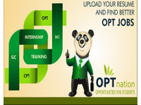Opt Nation (1) - Job portals