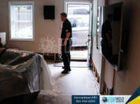 FDP Mold Remediation (8) - Limpeza e serviços de limpeza