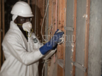FDP Mold Remediation of Laurel (2) - Cleaners & Cleaning services