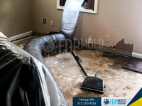 FDP Mold Remediation of McLean (1) - Limpeza e serviços de limpeza
