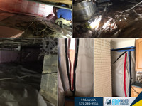 FDP Mold Remediation of McLean (2) - Cleaners & Cleaning services