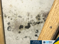 FDP Mold Remediation of McLean (7) - Cleaners & Cleaning services
