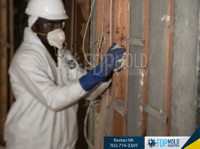 FDP Mold Remediation of Reston (2) - Curăţători & Servicii de Curăţenie
