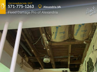 Flood Damage Pro of Alexandria (4) - Usługi w obrębie domu i ogrodu