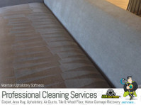 USA Clean Master (4) - Usługi porządkowe
