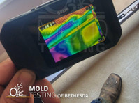 O2 Mold Testing of Bethesda (2) - Inspekcja nadzoru budowlanego
