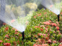 Tacoma Sprinkler (2) - Κηπουροί & Εξωραϊσμός