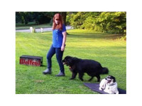 Wolfen1 Dog Training (3) - Huisdieren diensten