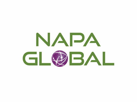 Napa Global - It Services and Consulting - Webdesign