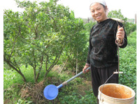 Farm tour and cook with local family in Hanoi (am or pm) (1) - Градски обиколки