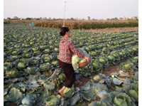Farm tour and cook with local family in Hanoi (am or pm) (5) - Tours