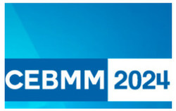2024 13th International Conference on Economics, Business and Marketing Management (cebmm 2024)