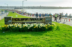 2025 Newport Rhode Races - Marathon, Half Marathon, 5k and Beach Mile