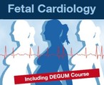 2nd Munich Symposium of Fetal Cardiology