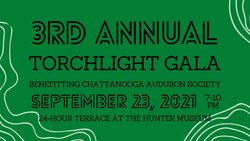 3rd Annual Torchlight Gala